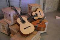 LE MAESTRIO guitares