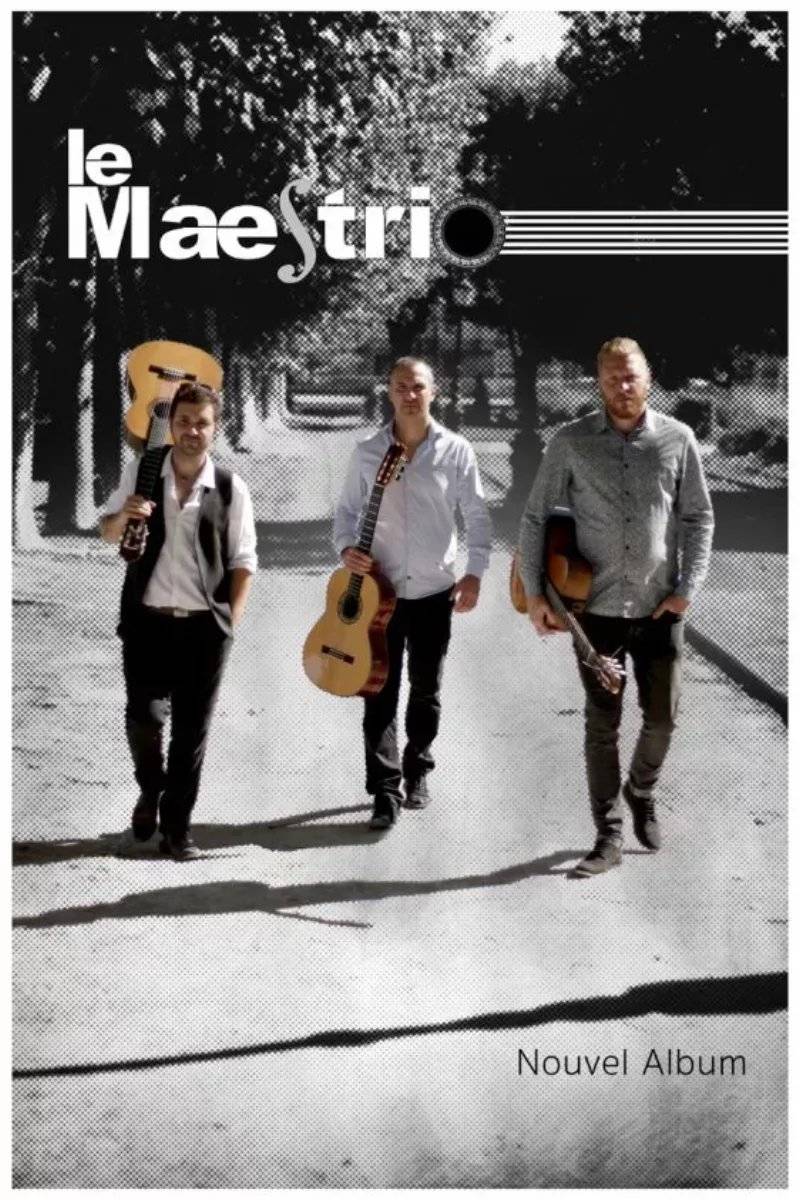 LE MAESTRIO guitare