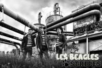 LES BEAGLES STRIPES