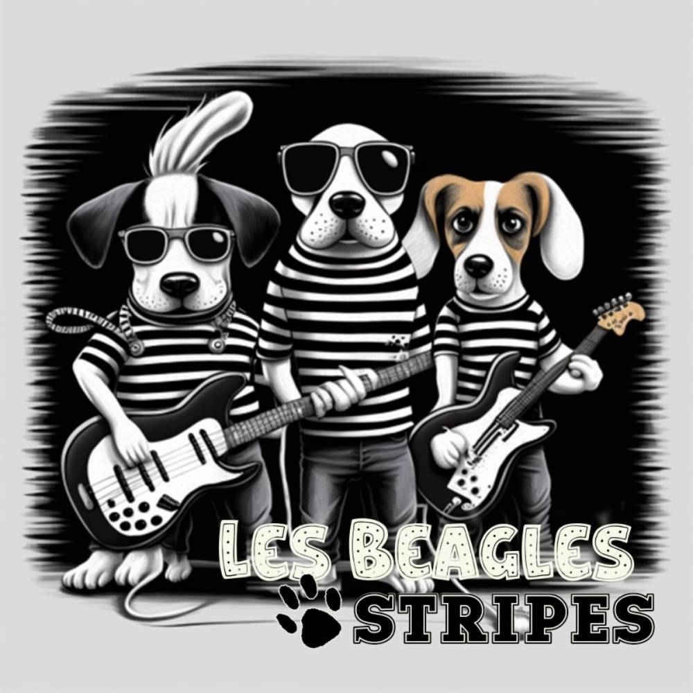 LES BEAGLES STRIPES, rock anglais et français