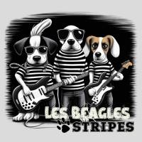 LES BEAGLES STRIPES, rock anglais et français