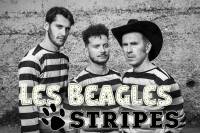 LES BEAGLES STRIPES rock anglais