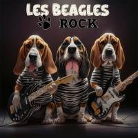 LES BEAGLES STRIPES rock anglais français
