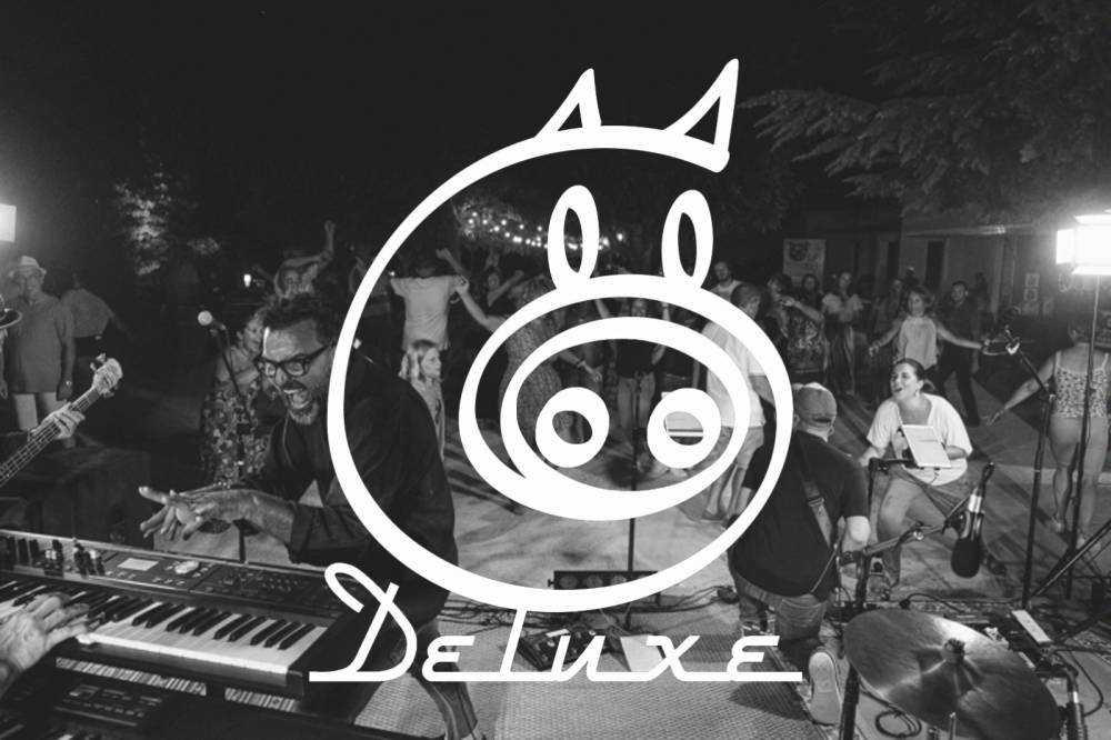 COCHONS DELUXE, variété de rock anglo-américain