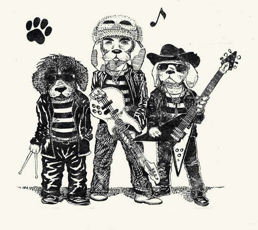 VISUEL LUCAS BEAGLES