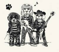 VISUEL LUCAS BEAGLES